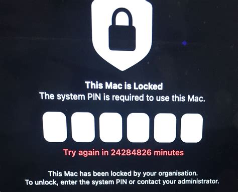 Additional requirements macOS Catalina or later. . This mac is locked the system pin is required